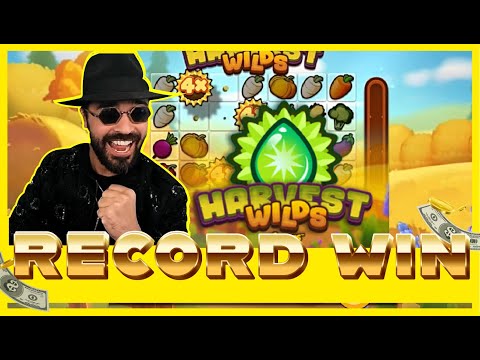 ROSHTEIN EPIC RECORD WIN ON HARVEST WILDS!! NEW SLOT