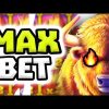 BUFFALO KING MEGAWAYS 🔥 SLOT MEGA BIG WINS 🤑 €50 BET BONUS OMG ‼️ *** HUGE BIG WINS ***