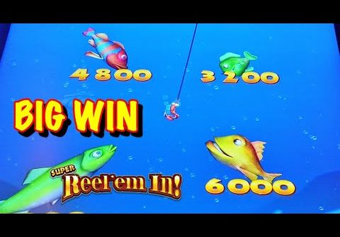 NEW SLOT: Big win on Super Reel Em In max bet