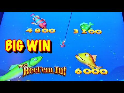 NEW SLOT: Big win on Super Reel Em In max bet