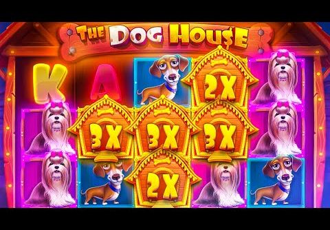 MY BIGGEST DOG HOUSE WIN EVER! (1000X HUGE WIN)