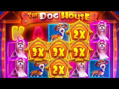 MY BIGGEST DOG HOUSE WIN EVER! (1000X HUGE WIN)