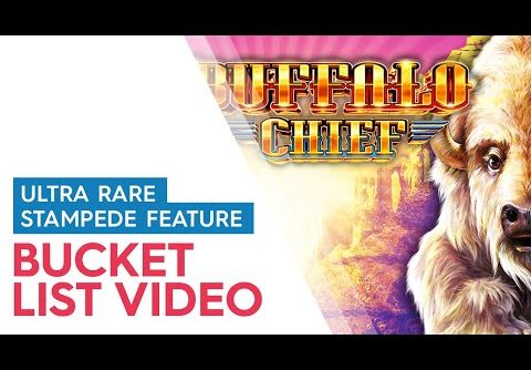 ULTRA RARE STAMPEDE FEATURE! Buffalo Chief Slot – HUGE WIN SESSION!