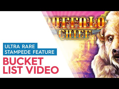 ULTRA RARE STAMPEDE FEATURE! Buffalo Chief Slot – HUGE WIN SESSION!