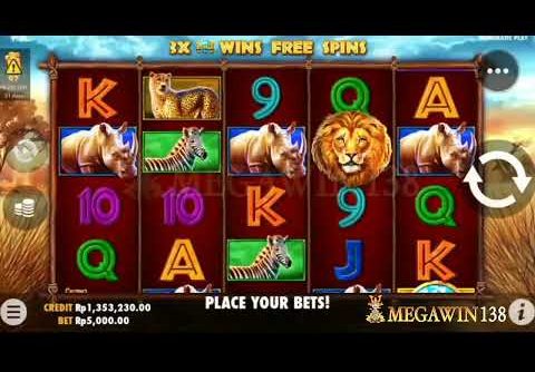 ⛔ INFO SLOT GACOR || AUTO JP BRADER MAIN DI SAFARI KING MEGAWIN138