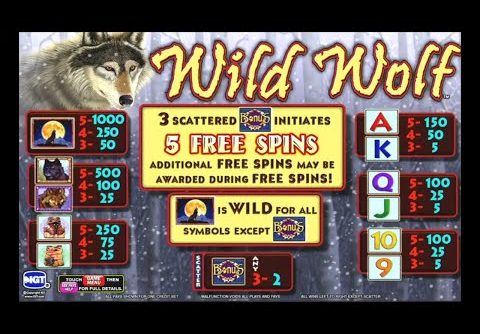 SUPER BIG JACKPOT WINS ON WILD WOLF A REAL SLOT MACHINE JACKPOT