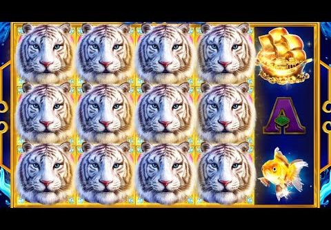 Water Tiger Big Win – (Endorphina)