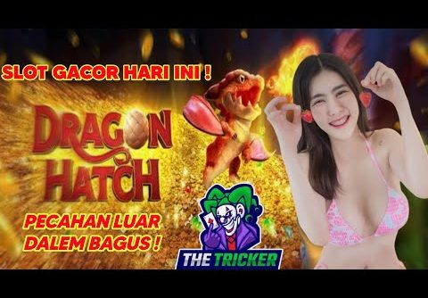 ✅SLOT GACOR HARI INI DRAGON HATCH || COMEBACK MANIS PECAHAN MANTAP || GIVEAWAY-4