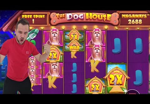 THE DOG HOUSE MEGAWAYS – BIG WINS CASINO – BONUS BUY