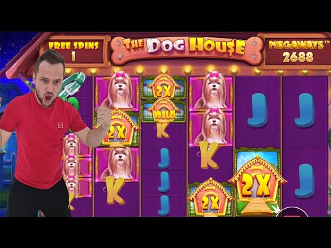 THE DOG HOUSE MEGAWAYS – BIG WINS CASINO – BONUS BUY