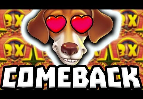 THE DOG HOUSE MEGAWAYS 🐶 SLOT MASSIVE COMEBACK 🔥 FINALLY DROPPED‼️ *** BIG WINS ***