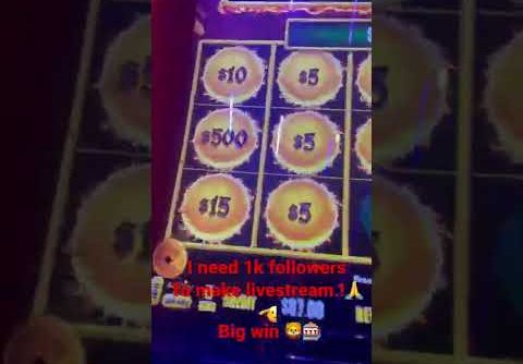 Super big win dragon 🐉 cash slots 🎰#shorts #slotsplay#alexslots17#going41ksubscribers.!