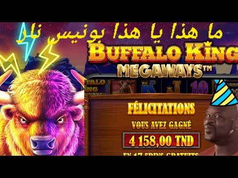 BUFFALO KING MEGAWAYS BIGWIN  best game أقوى بونيس و أقوى لعبة