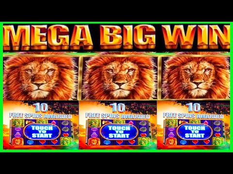 **MEGA BIG WIN!** TONS OF LIONS! King of Africa Slot Machine Bonus Wins