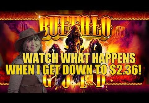 DOWN TO THE LAST BET! HUGE WIN-BUFFALO GOLD SLOT MACHINE