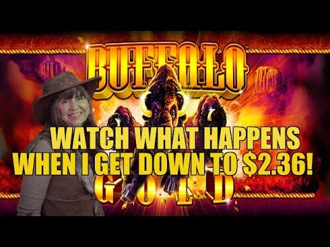 DOWN TO THE LAST BET! HUGE WIN-BUFFALO GOLD SLOT MACHINE