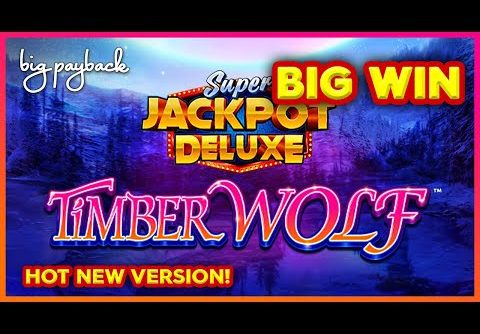 Super Jackpot Deluxe Timber Wolf Slot – BIG WIN BONUS!