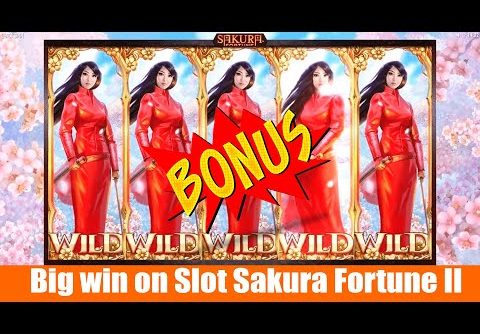 Big win on Video Slot Sakura Fortune II. New slot from developer Quickspin