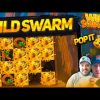 WILD SWARM! OUR BIGGEST WINS! 🐝