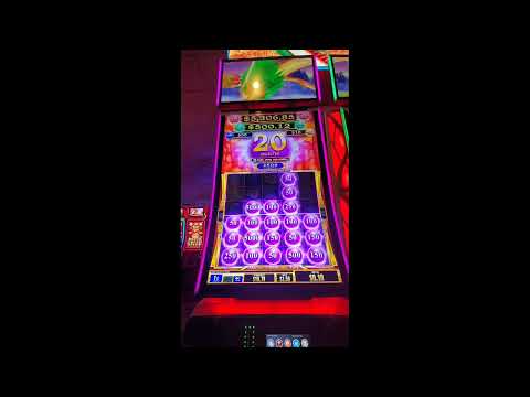 casino fantastic dragon slot machine with a mega win.