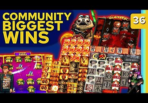 Community Biggest Wins #36 / 2022