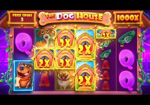 HUGE 1000x+ WIN ON DOG HOUSE MEGAWAYS!! (Bonus Buys)