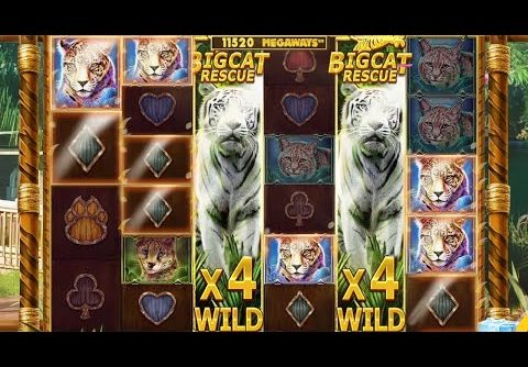 Win Compilation – Big Cat Megaways (Red Tiger’s New Slot)