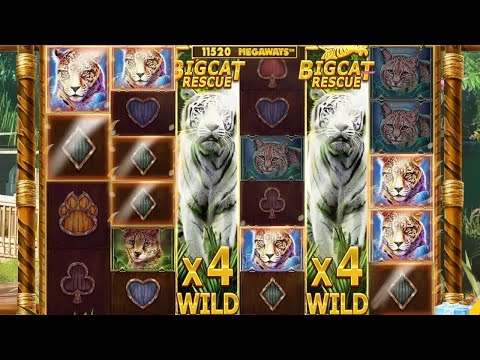 Win Compilation – Big Cat Megaways (Red Tiger’s New Slot)