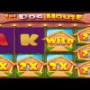 MEGA WIN The Dog House Megaways 🐶 15 Free Spins