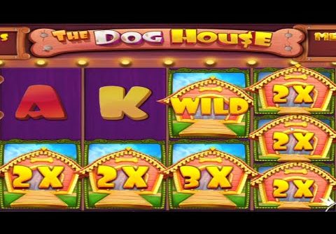 MEGA WIN The Dog House Megaways 🐶 15 Free Spins