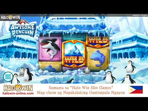 Awesome Penguin Slot Game Mega Win 45X 🐧 Halo Win Slot Games