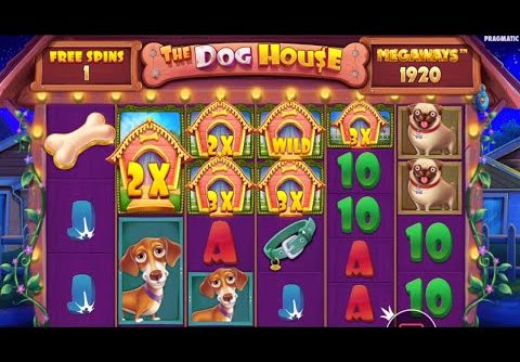 The Dog House Megaways 🐶 BIG WINS CASINO SLOT (bonus buy)