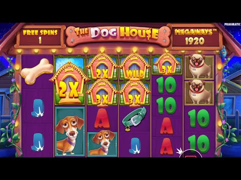 The Dog House Megaways 🐶 BIG WINS CASINO SLOT (bonus buy)