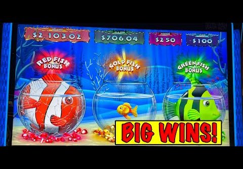 🐠  🐟NEW! 🐠🐟 Goldfish Feeding Time Slot, high limit tons of big wins!