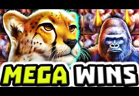 GREAT RHINO MEGAWAYS 🔥 SLOT MEGA BIG WINS 😱 HUGE MULTIPLIER BEST PAYING SYMBOLS OMG‼️