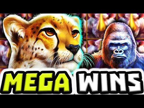 GREAT RHINO MEGAWAYS 🔥 SLOT MEGA BIG WINS 😱 HUGE MULTIPLIER BEST PAYING SYMBOLS OMG‼️