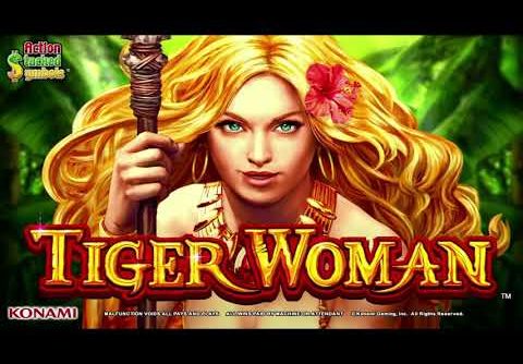 MEGA JACKPOTS BIGGEST YOUTUBE WIN ON SELEXION TIGER WOMAN A REAL SLOT MACHINE JACKPOT