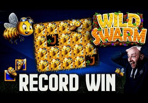 €20 Wild Swarm SWARM MODE – RECORD WIN