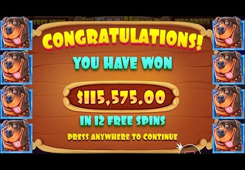 THE DOG HOUSE MEGAWAYS🐶🐶🐶 (RECORD OF THE YEAR) AMAZING WIN ROTI – CASINO ONLINE SLOT