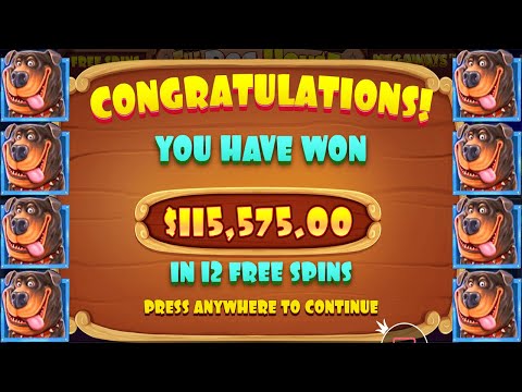 THE DOG HOUSE MEGAWAYS🐶🐶🐶 (RECORD OF THE YEAR) AMAZING WIN ROTI – CASINO ONLINE SLOT