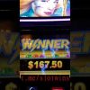 Maxi roulette record win #slots #shorts #bigwin