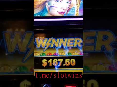 Maxi roulette record win #slots #shorts #bigwin