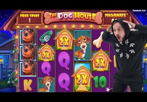 The Dog House Megaways 🐶 BIG WINS CASINO SLOT (bonus buy) Game