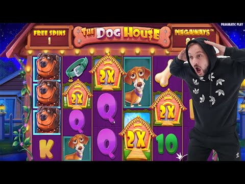 The Dog House Megaways 🐶 BIG WINS CASINO SLOT (bonus buy) Game