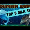 Top 5 Gila FREE GAME Slot SPIN Dolphin Reef Bigwin Mega888