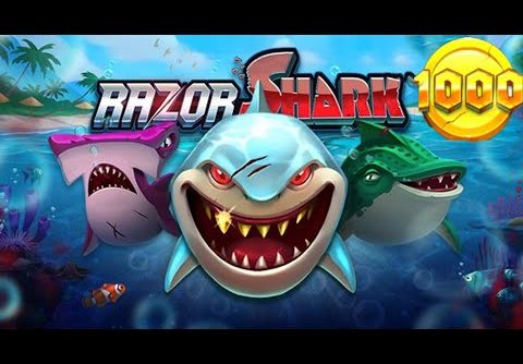 ROSHTEIN NEW RECORD GAMBLING WIN ON RAZOR SHARK!!🦈🌊 ONLINE SLOT BIG BONUS 🏆