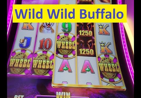 Wild Wild Buffalo super Big Win! Aristocrat