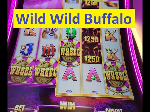 Wild Wild Buffalo super Big Win! Aristocrat