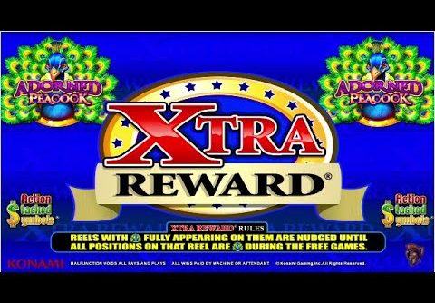 MEGA MILLIONS JACKPOTS BIGGEST YOUTUBE WIN ON ADORNED PEACOCK A REAL SLOT MACHINE JACKPOT