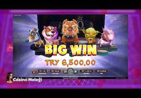 Angry Dogs Casino Slot – 🐶🐶🐶 Köpeciklerle Big Win! 💲💲